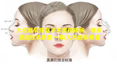 大名唇裂修复手术费用揭秘，哪家医院技术更胜一筹(大名唇裂修复手术 🌷 费用揭秘,哪家医院技术更胜一筹)